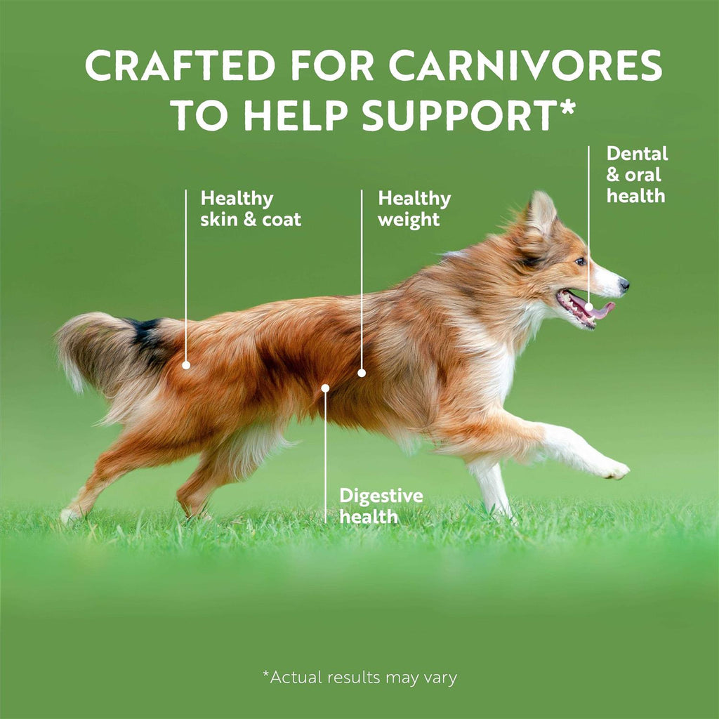 Air Dried Beef Dog Food R507