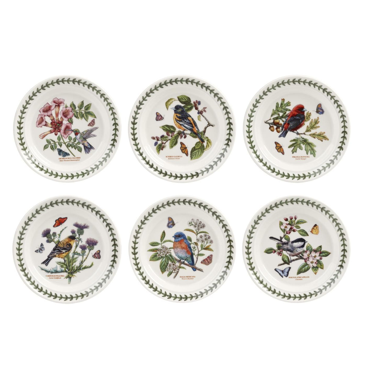 8.5 inch Salad Plate Set of 6 V192